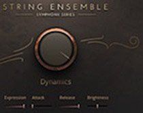 Test: NI String Ensemble – Symphony Series.jpg