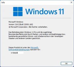 Windows_11.jpg