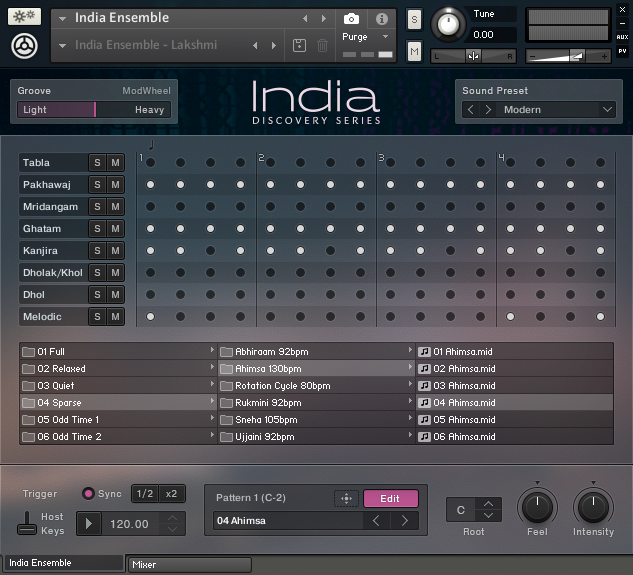 NI_India_Ensemble-Pattern-Edit.png