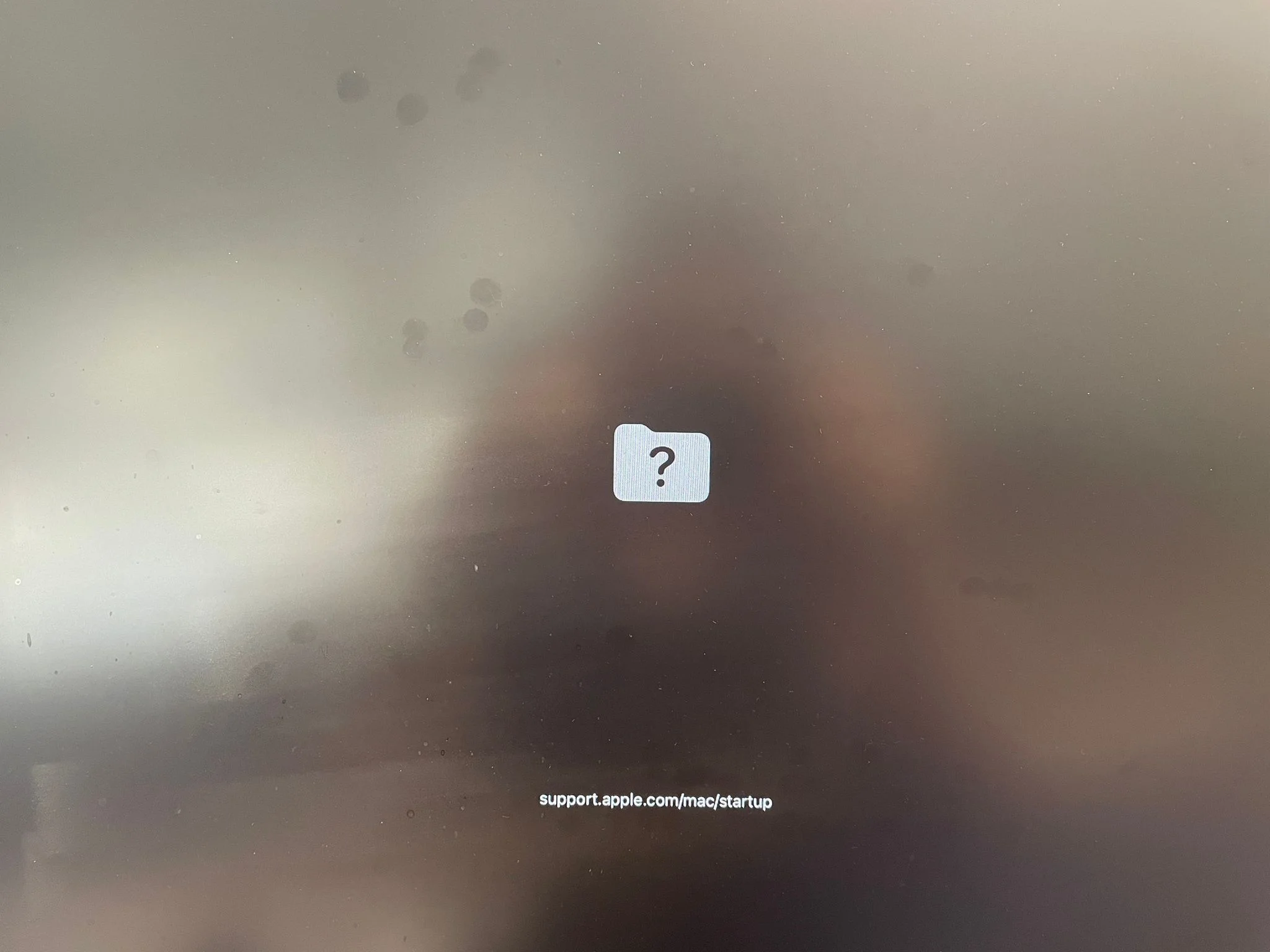 1729844000020.webp