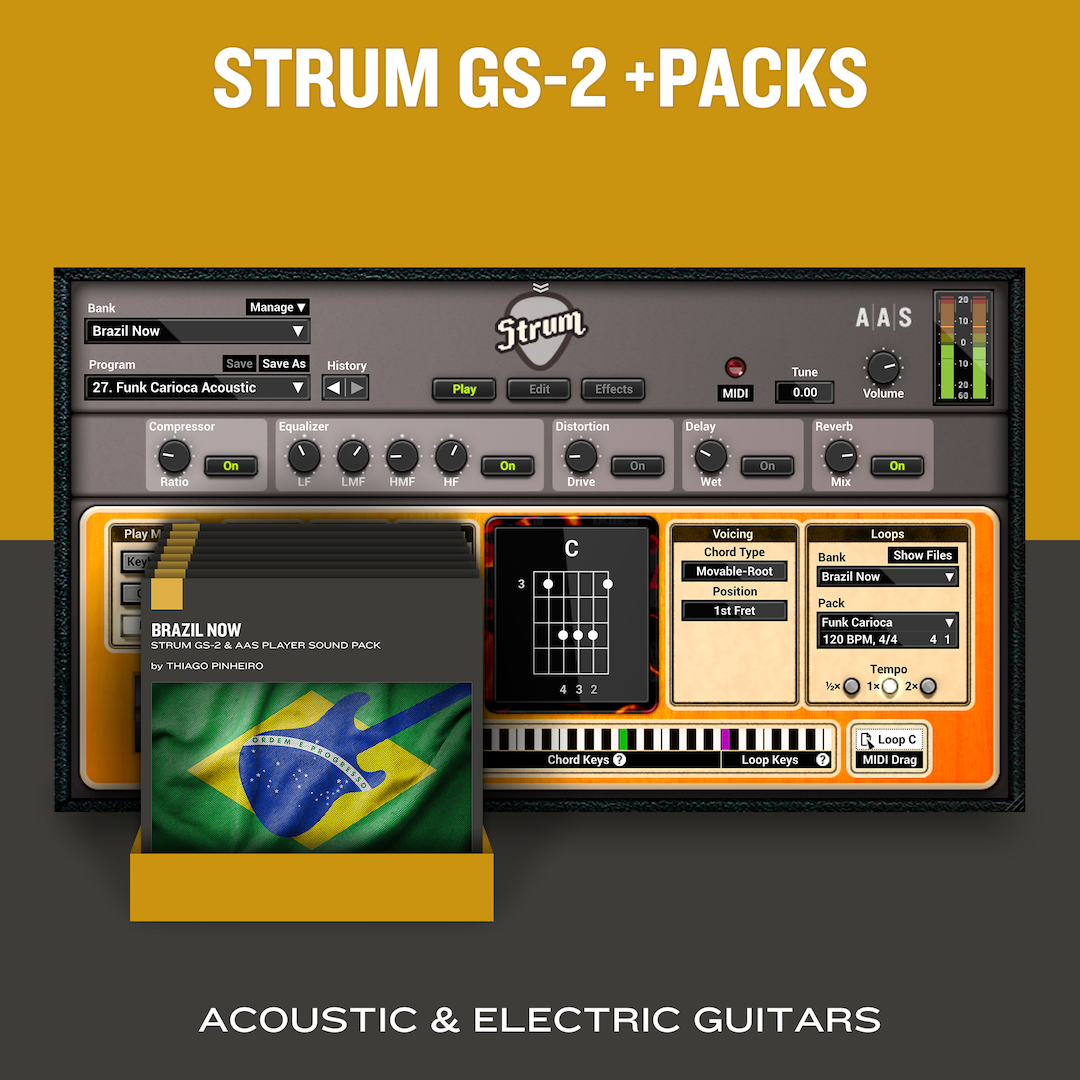 Applied Acoustics Systems  Brazil Now: Neues Sound-Pack für Strum GS-2