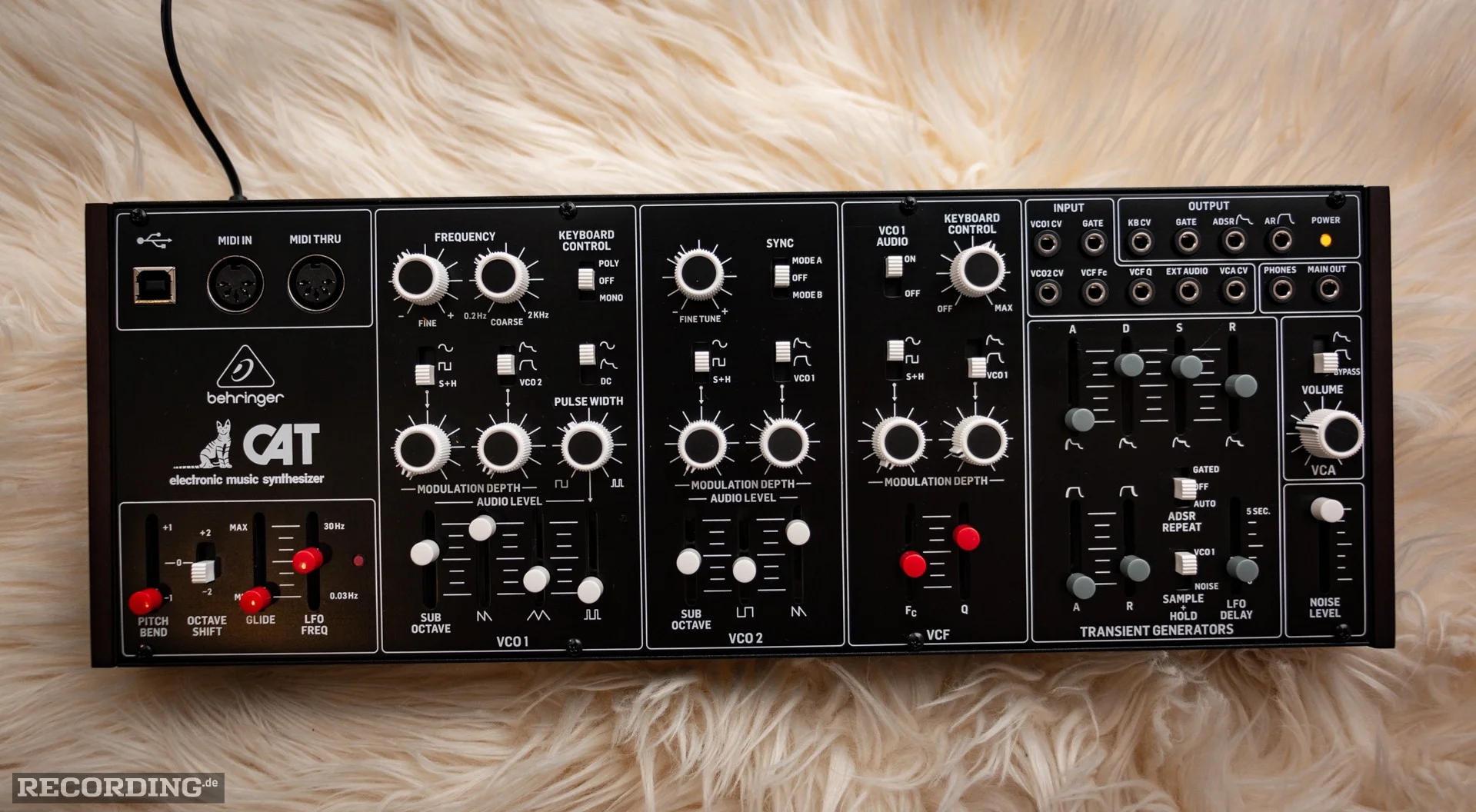 Behringer-The_Cat-01.webp