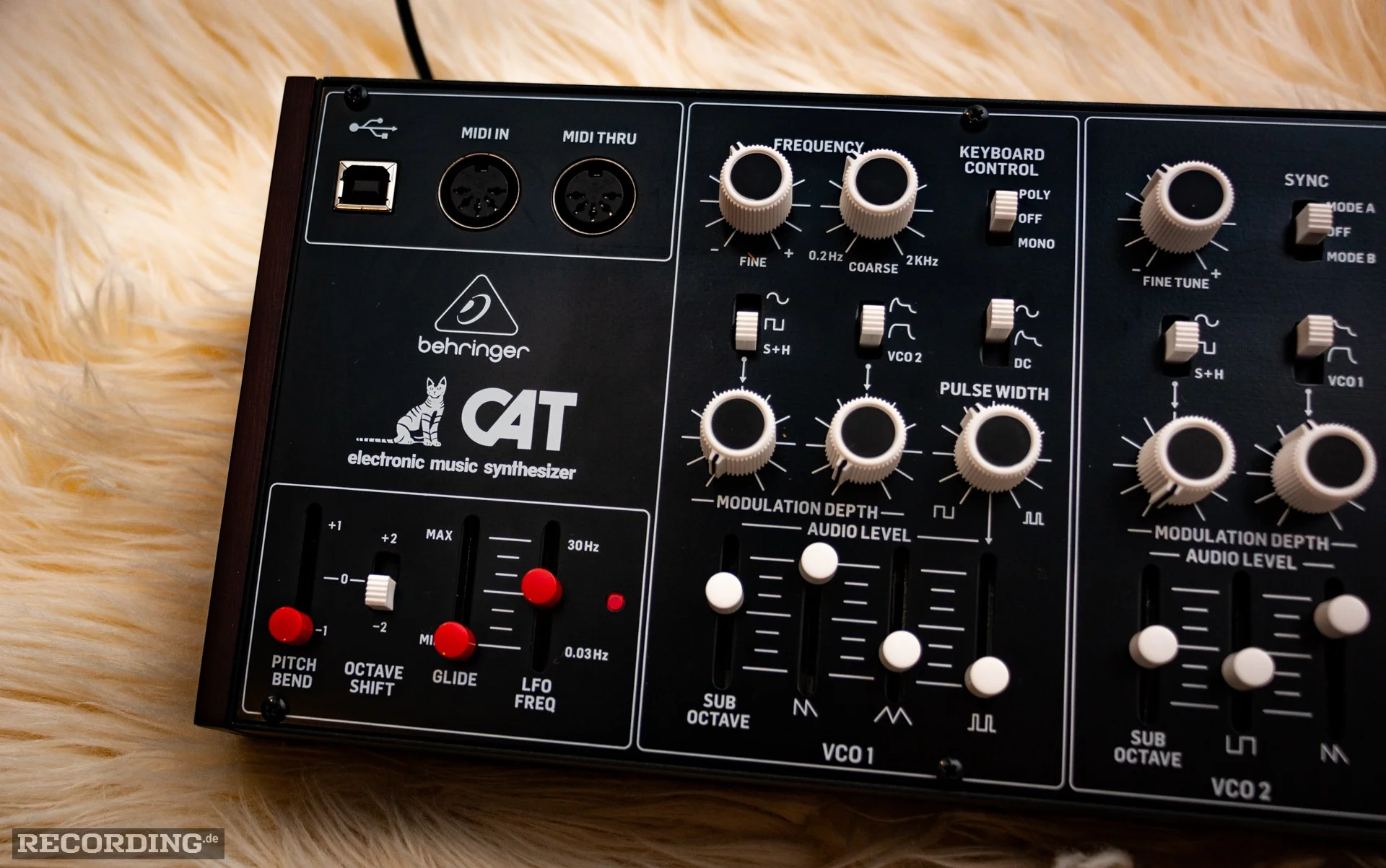 Behringer-The_Cat-02.webp