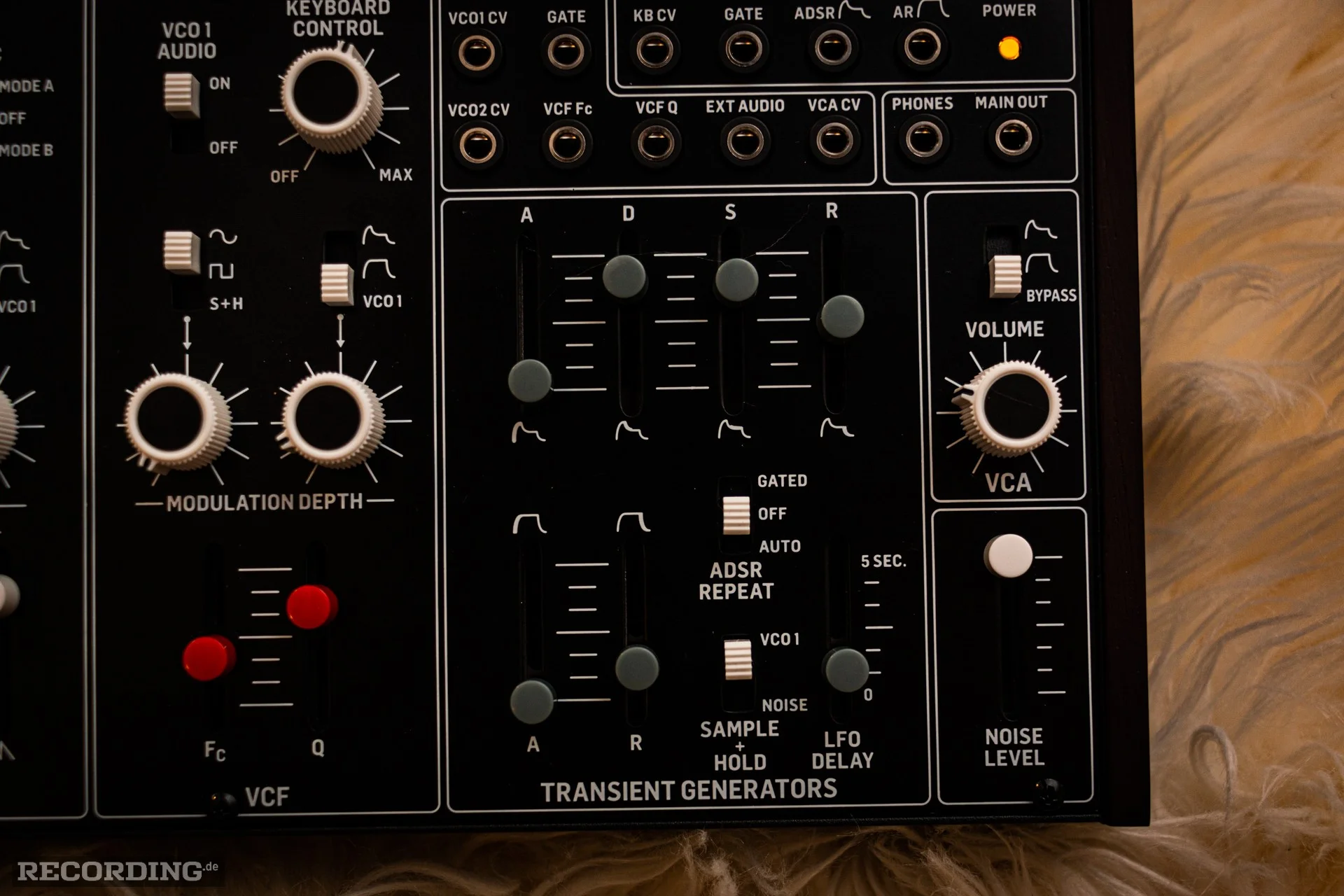 Behringer-The_Cat-04.webp