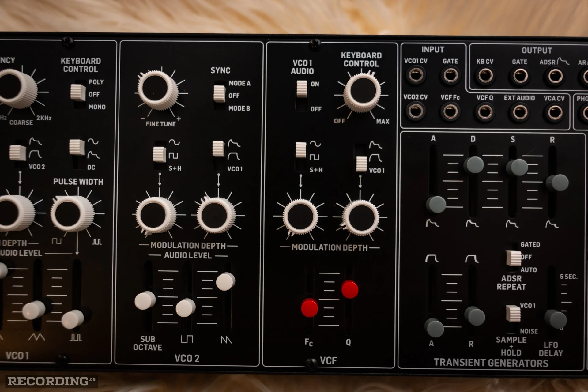 Behringer-The_Cat-05.webp