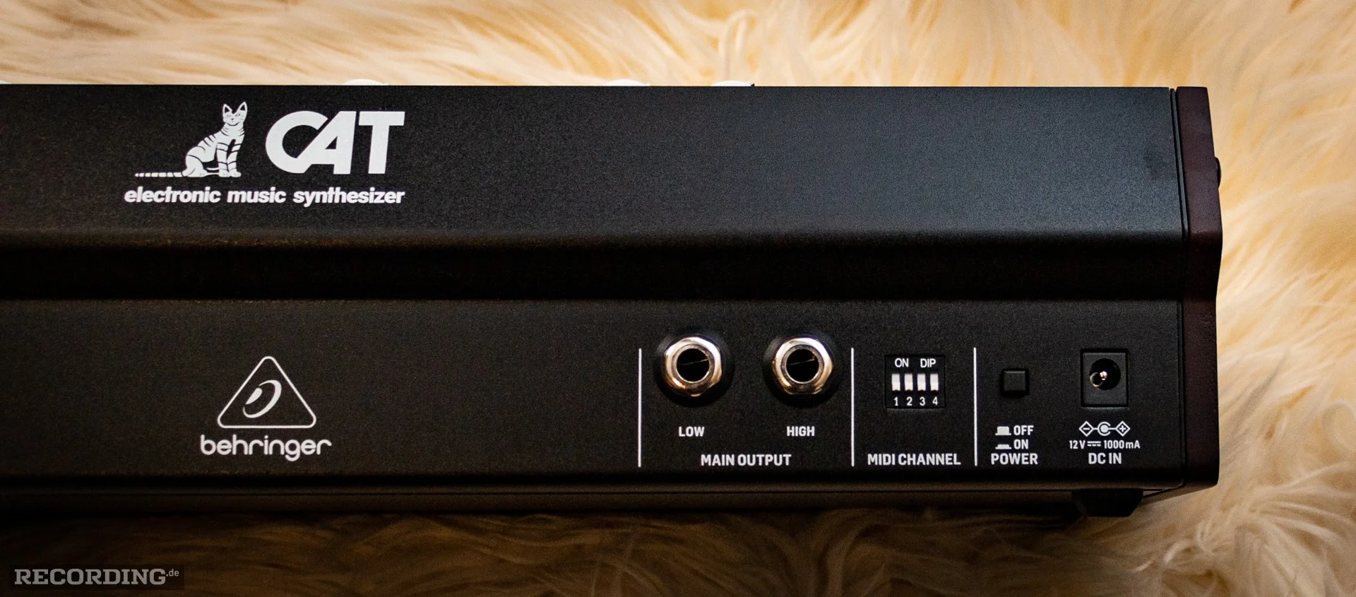 Behringer-The_Cat-07.webp