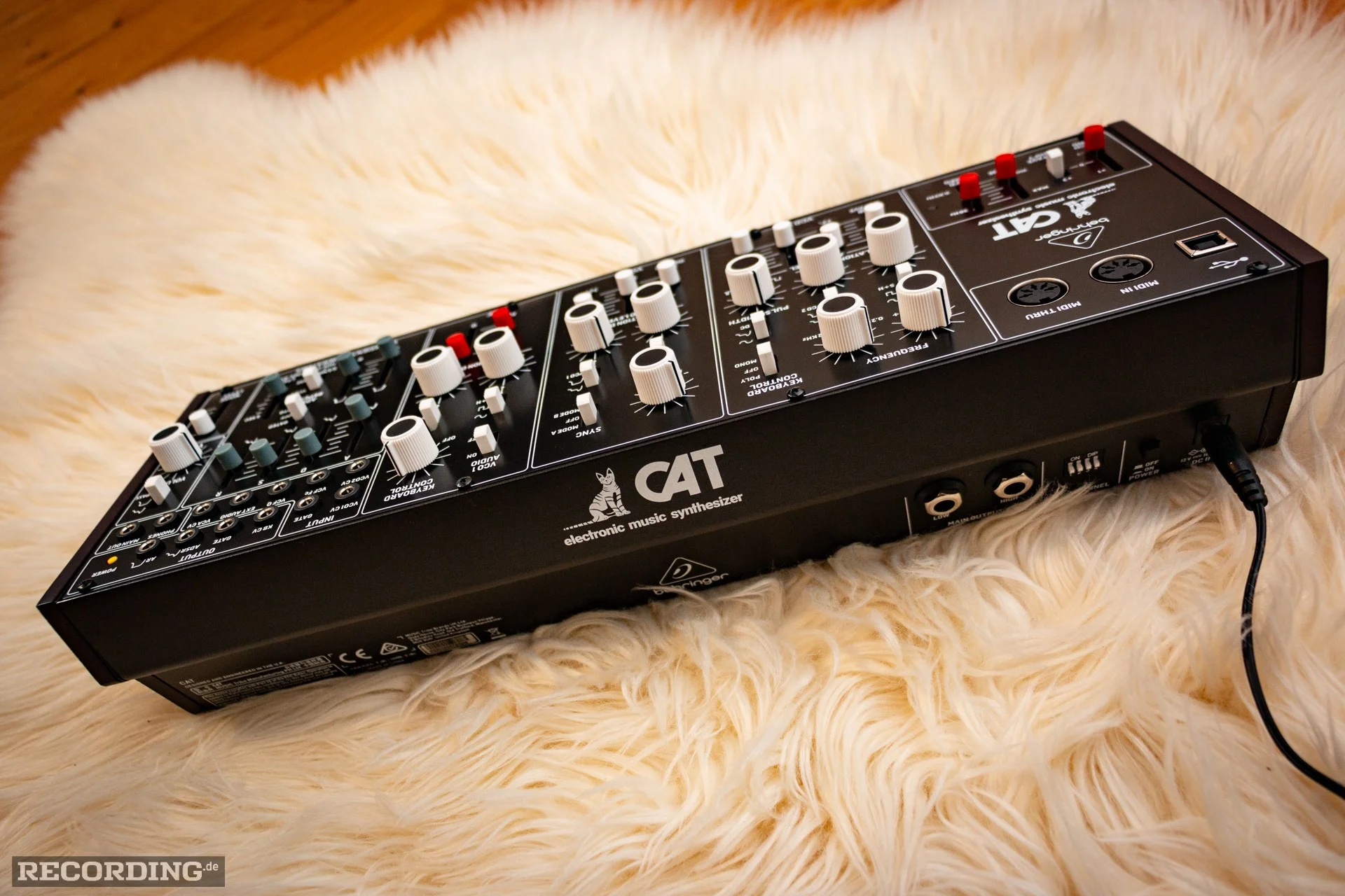 Behringer-The_Cat-08.webp