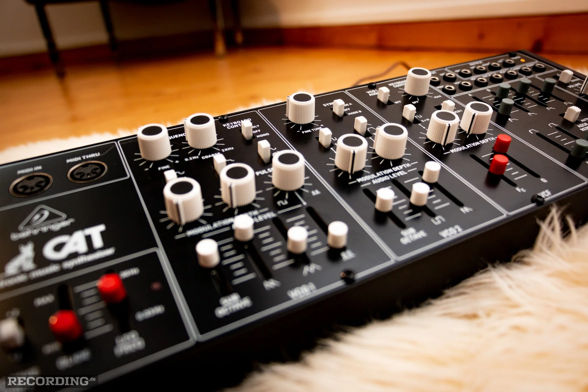 Behringer-The_Cat-10.webp