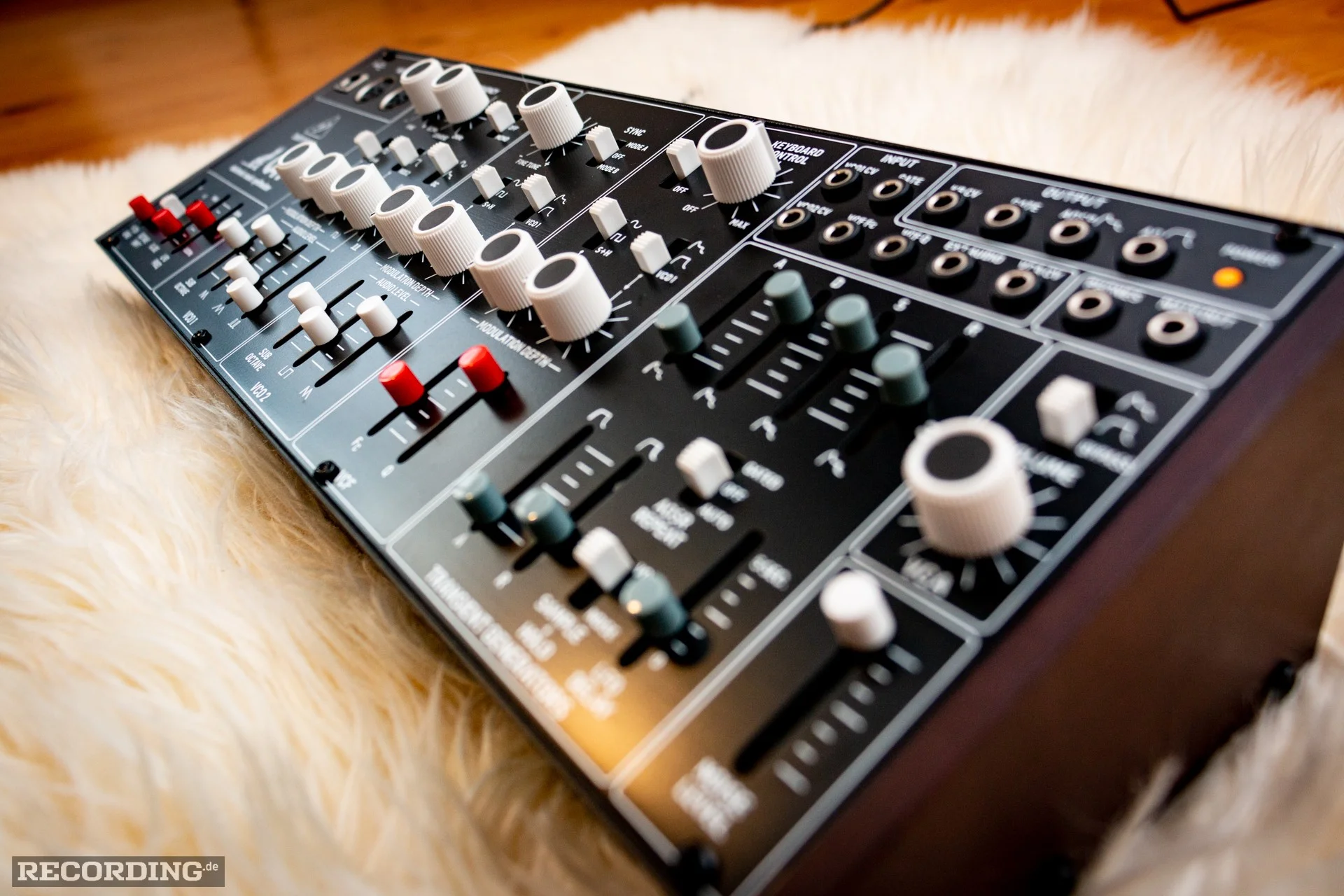 Behringer-The_Cat-11.webp