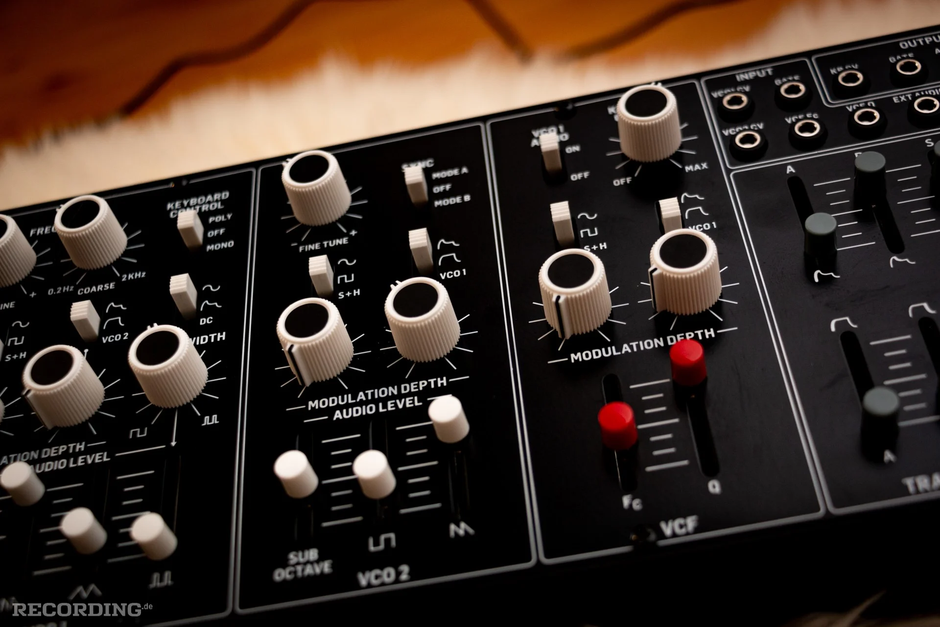 Behringer-The_Cat-12.webp