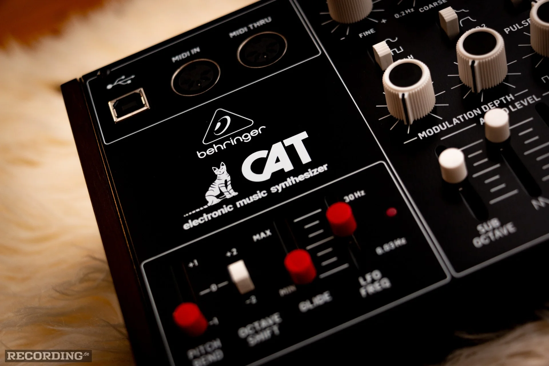 Behringer-The_Cat-13.webp