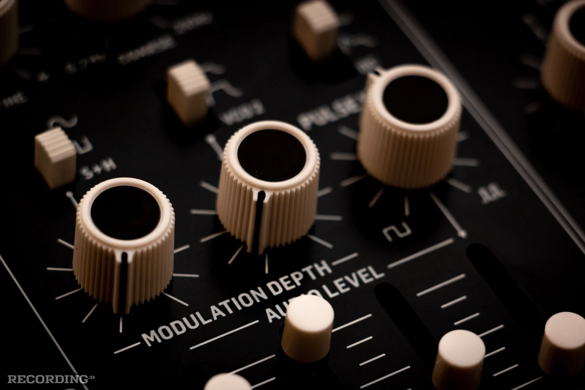 Behringer-The_Cat-14.webp