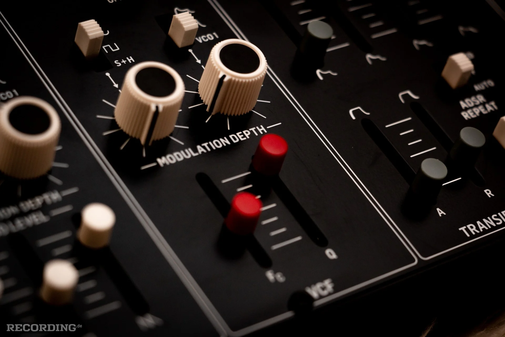 Behringer-The_Cat-15.webp