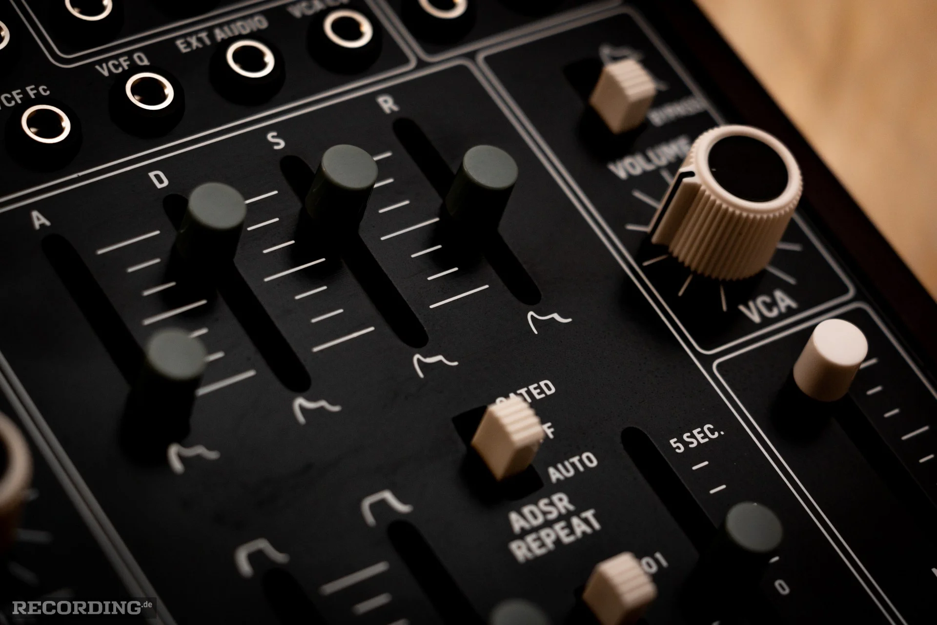 Behringer-The_Cat-17.webp