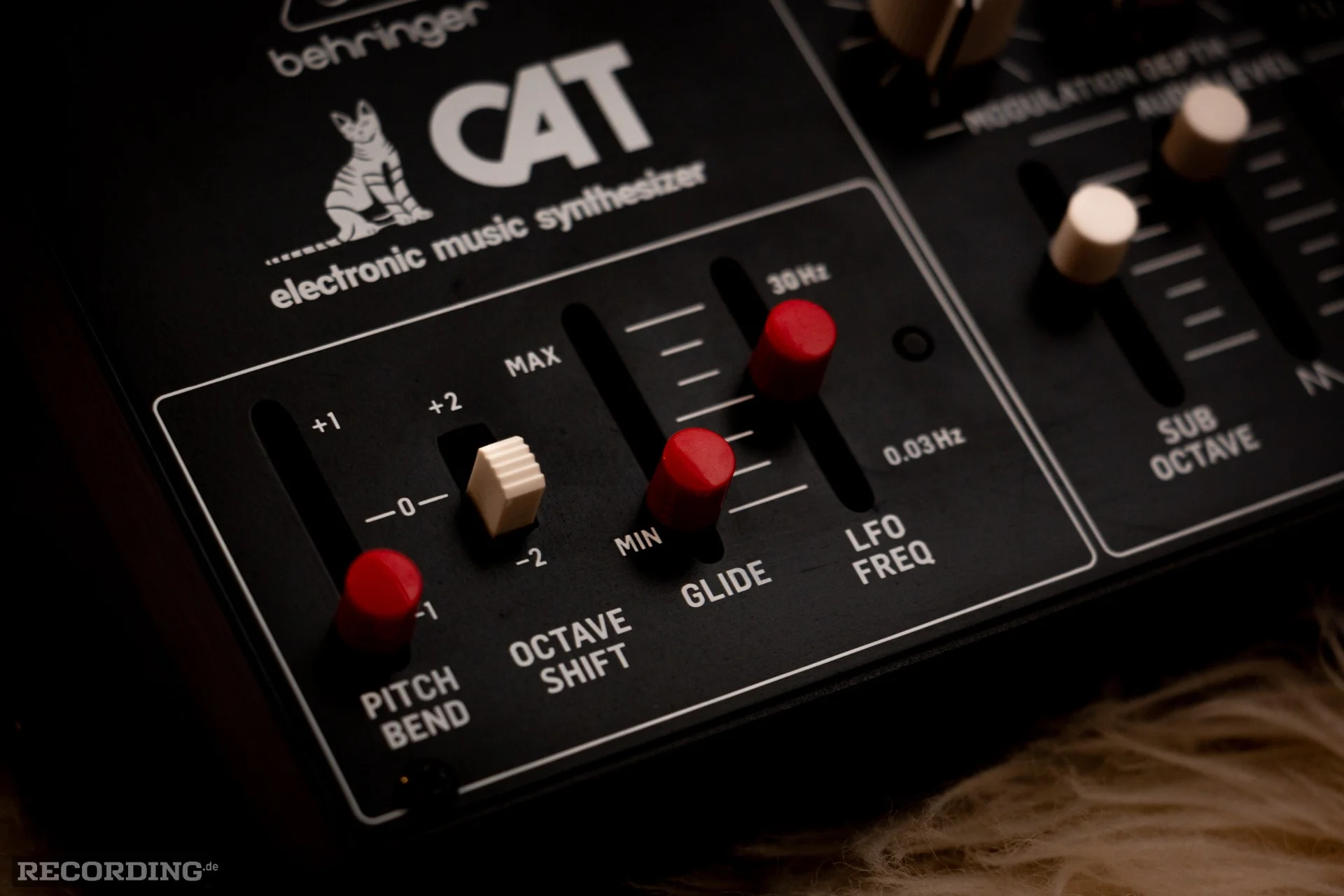 Behringer-The_Cat-19.webp