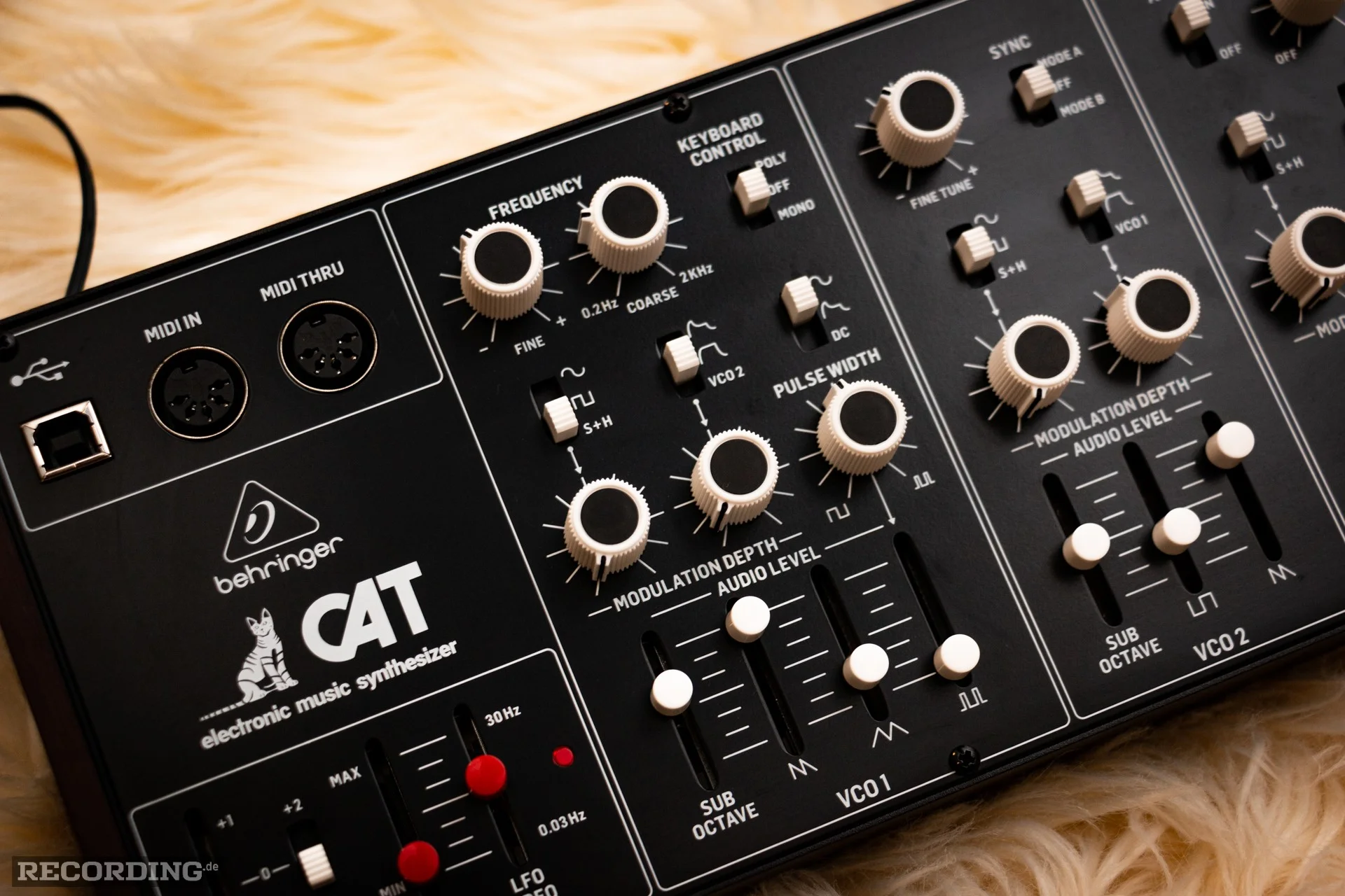 Behringer-The_Cat-20.webp