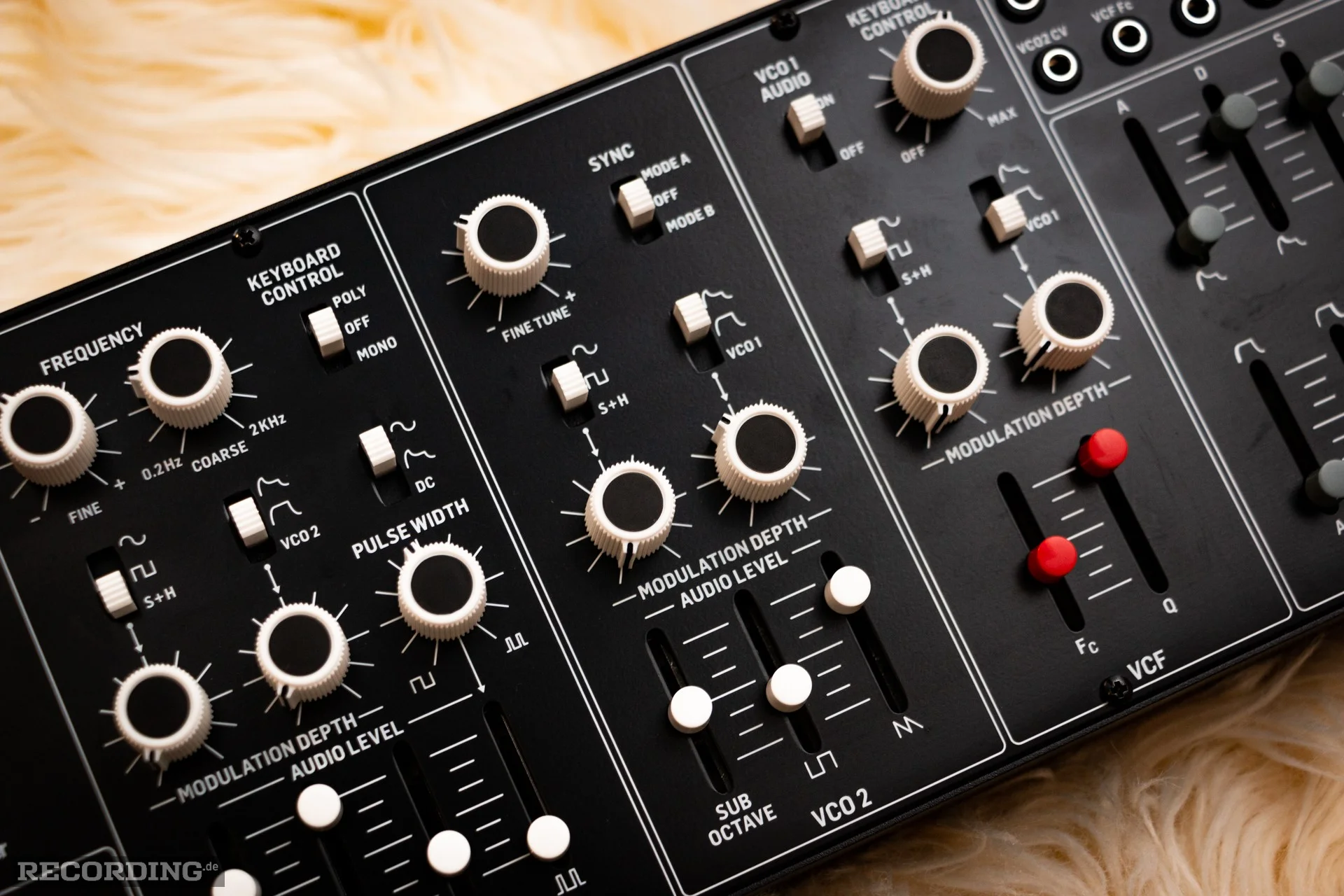 Behringer-The_Cat-21.webp