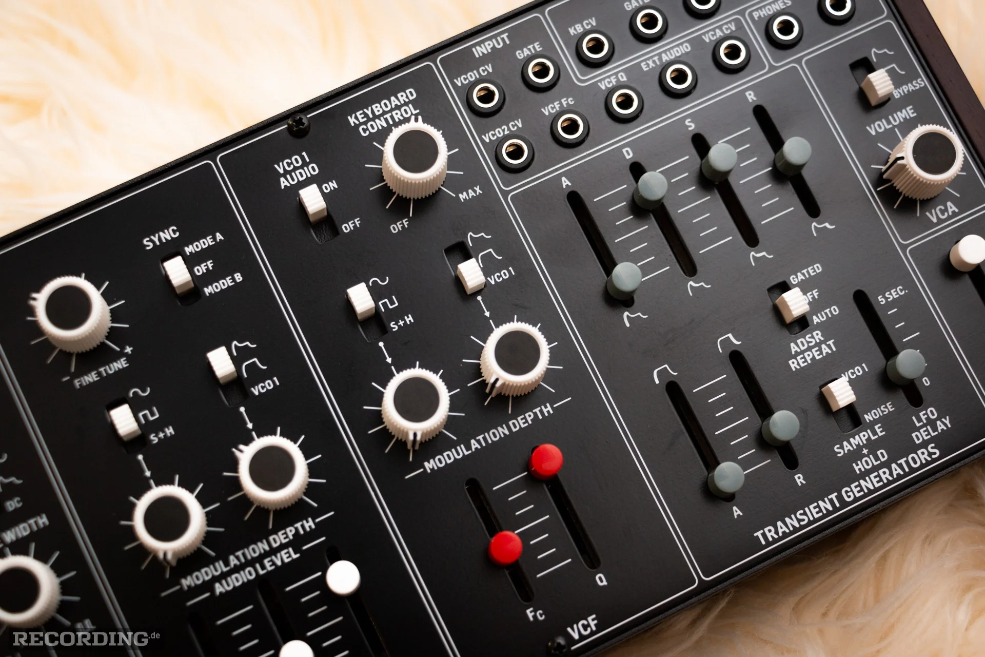 Behringer-The_Cat-22.webp