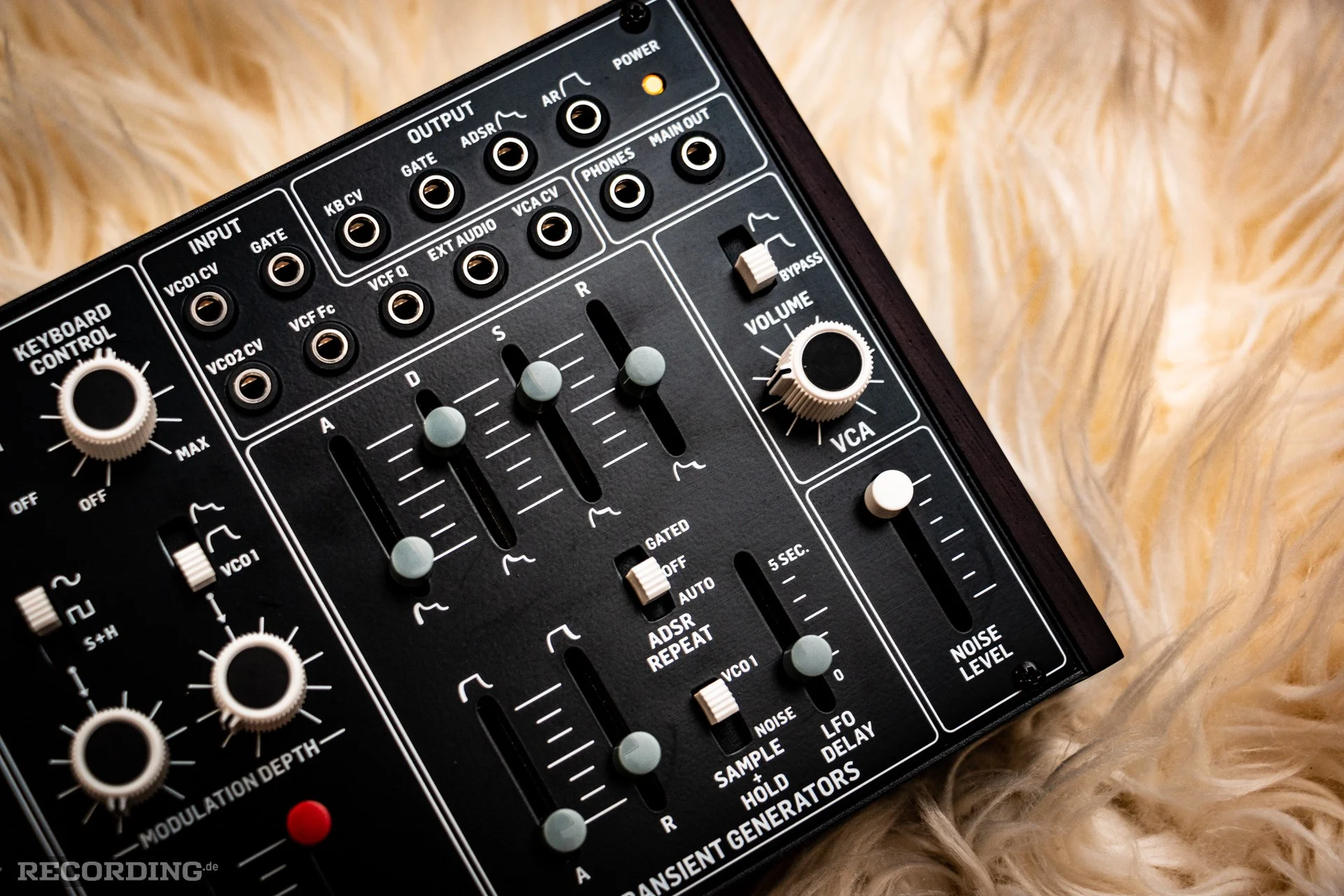 Behringer-The_Cat-23.webp