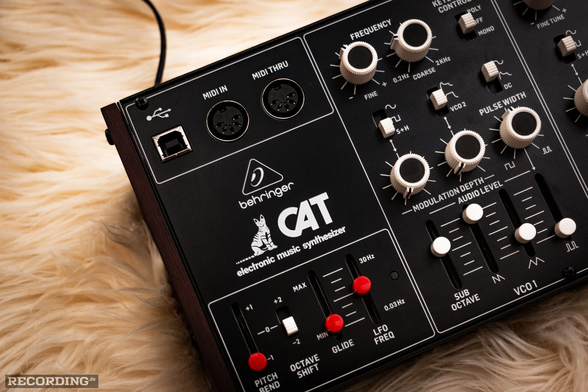 Behringer-The_Cat-24.webp