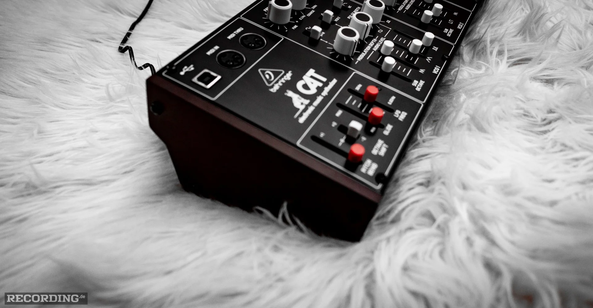 Behringer-The_Cat-25.webp