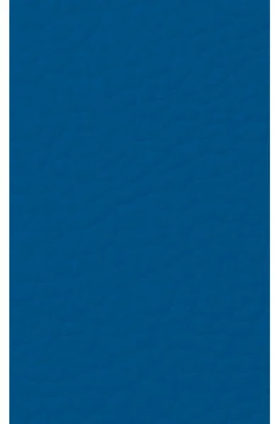 Blue.png