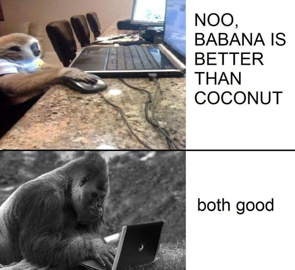 both.webp