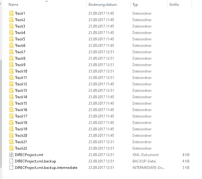 DIRECProjekt.webp