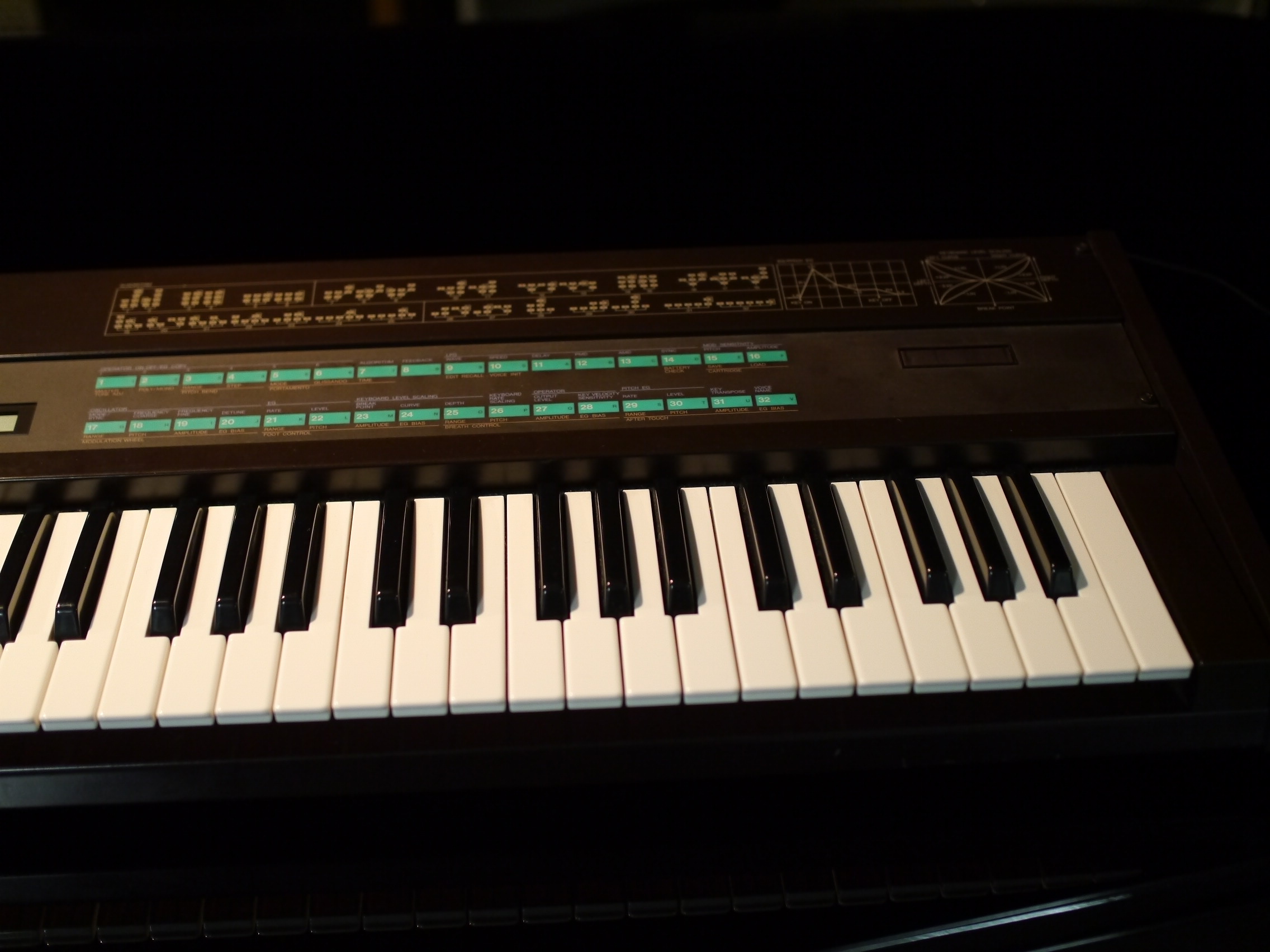 DX7 D.JPG