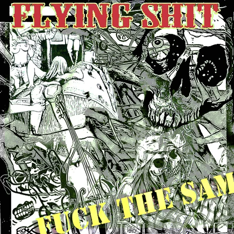 flying_shit.webp