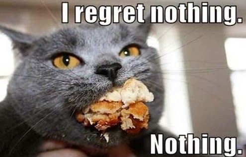 funny-regret-nothing-cat-eating-mouth-full-pics-2.jpg