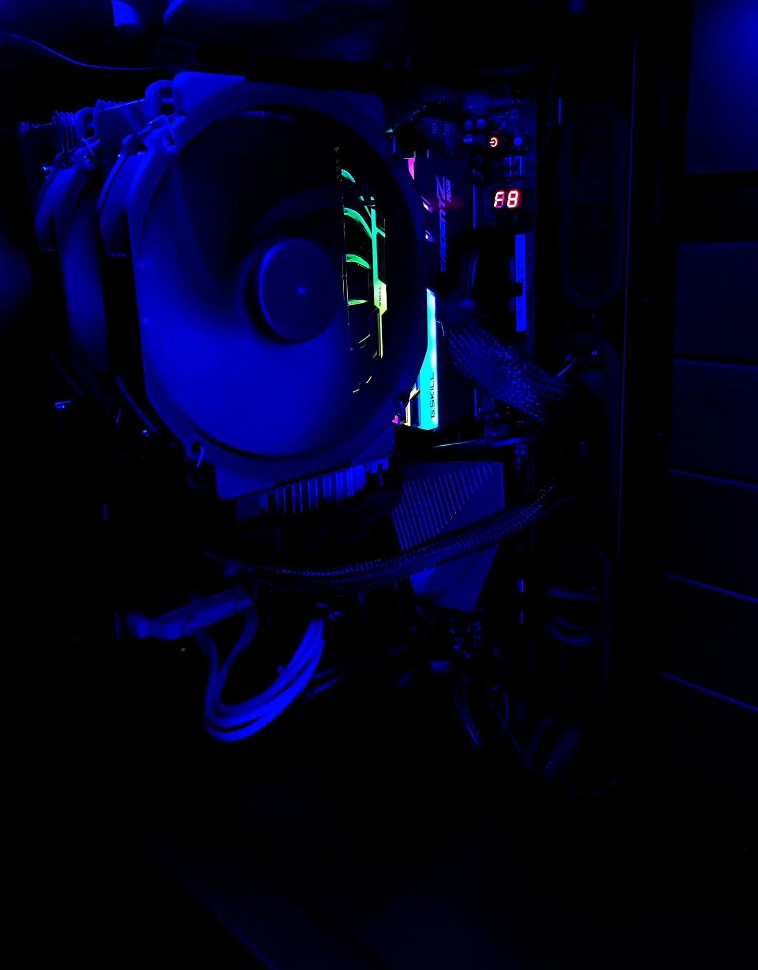 GAM5.webp