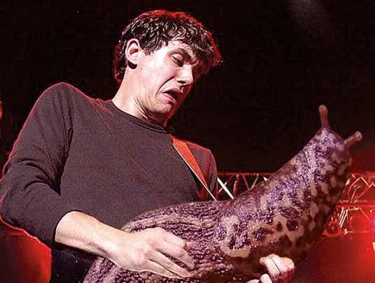 giant slugs guitar – Google Suche-1.jpg