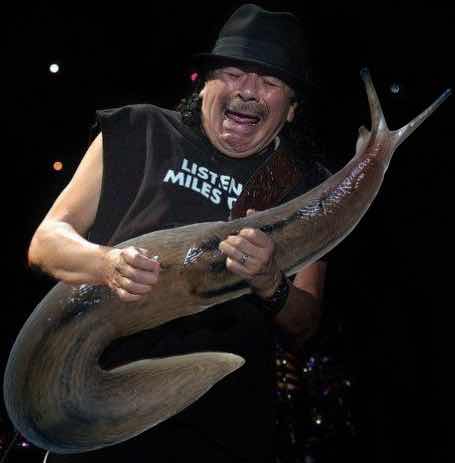 giant slugs guitar – Google Suche.jpg