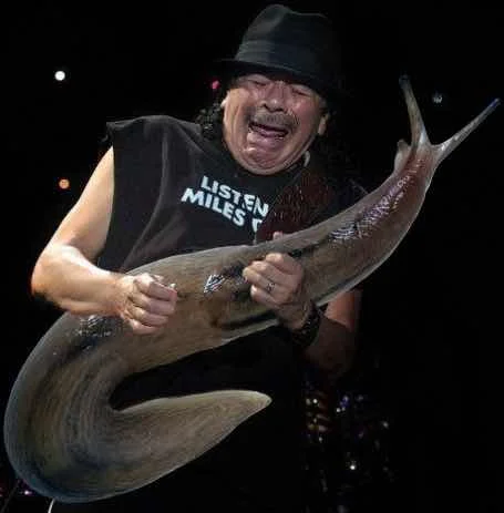 giant slugs guitar – Google Suche.jpg