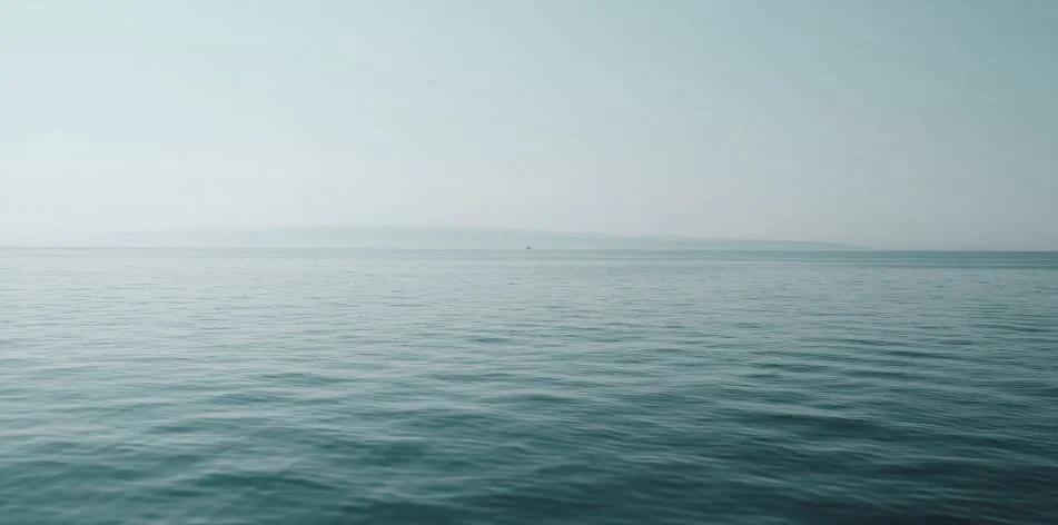 Habitat_14.webp