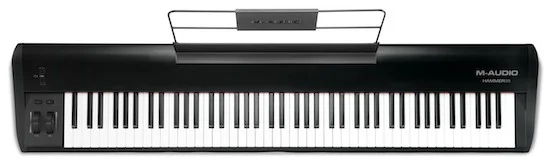 Hammer88_Ortho2_M_Audio.webp