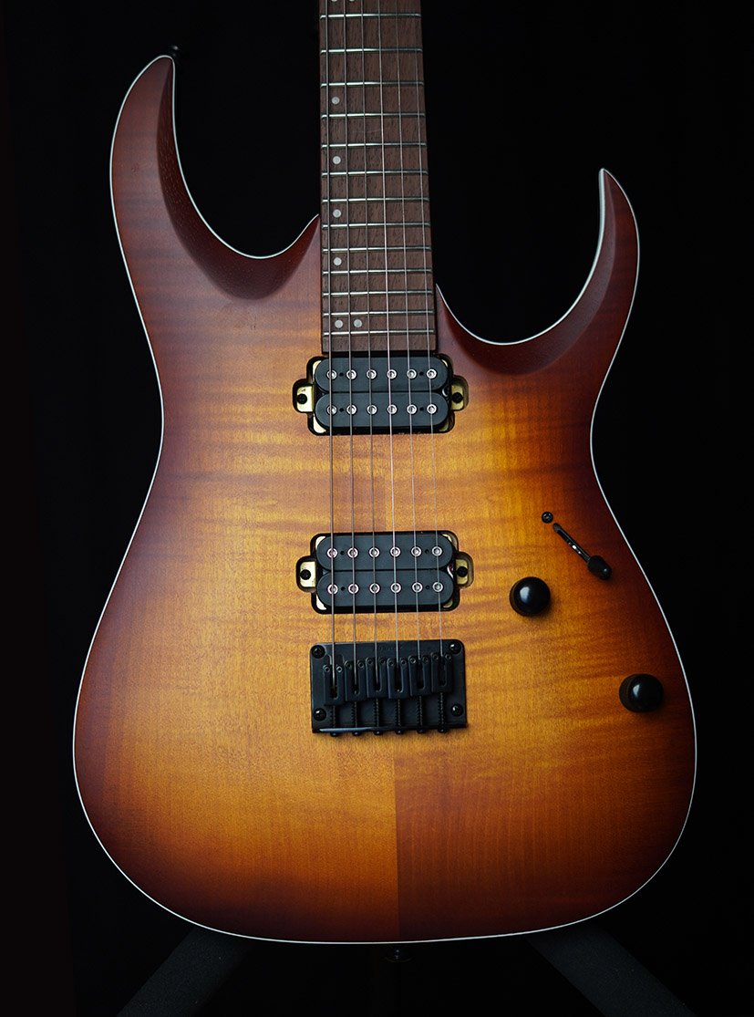 Ibanez_02.jpg