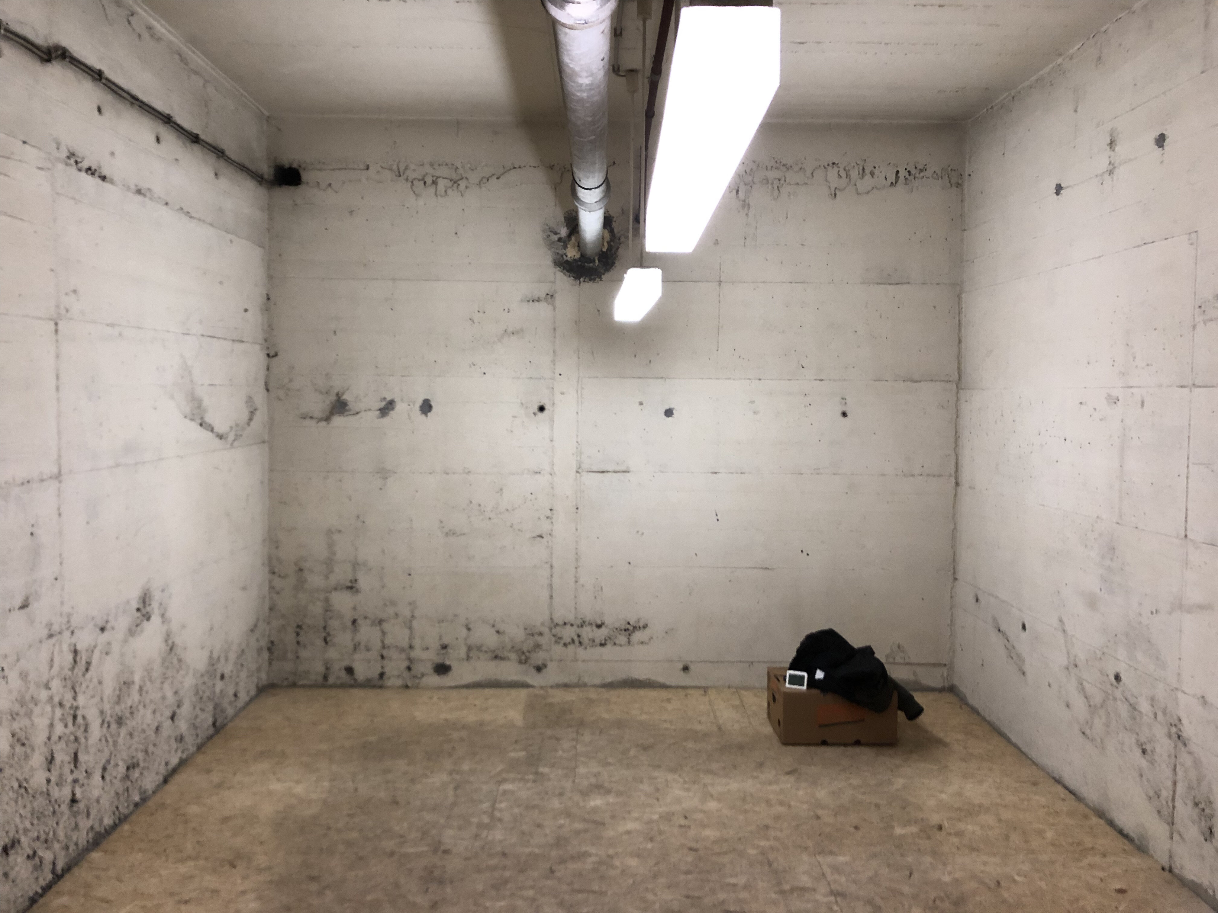 IMG_1265.jpeg IMG_1265.jpeg