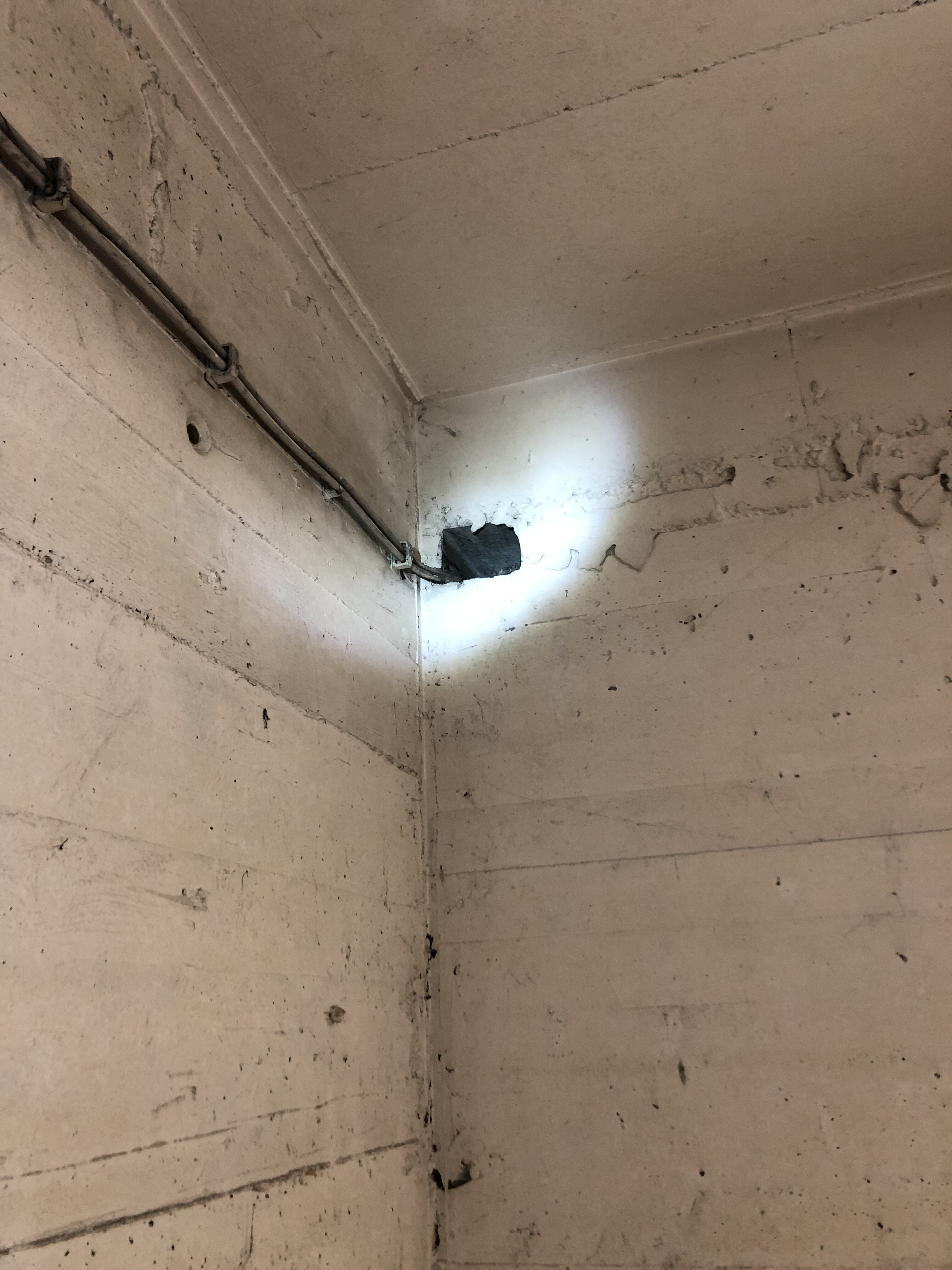 IMG_1270.jpeg IMG_1270.jpeg