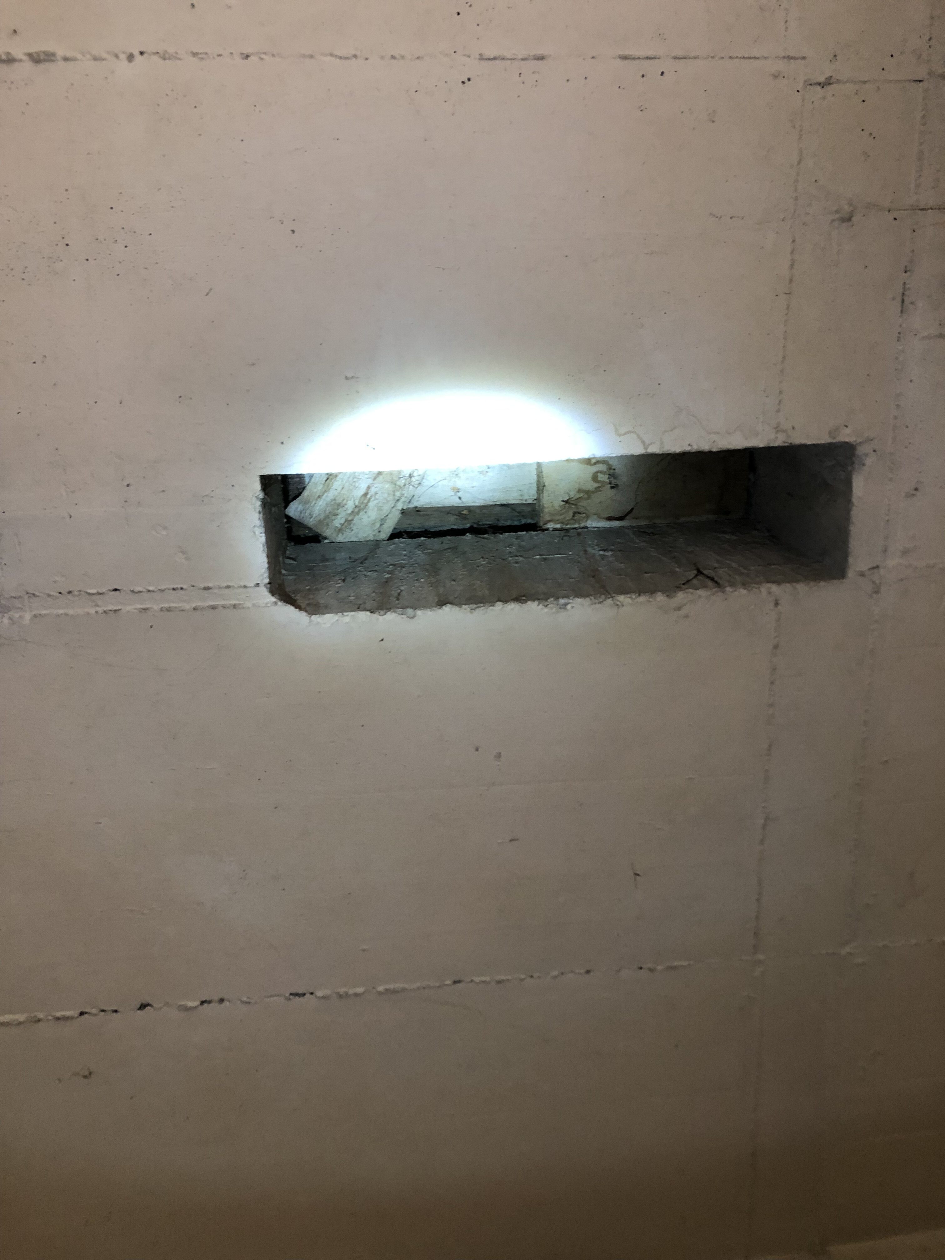 IMG_1272.jpeg IMG_1272.jpeg