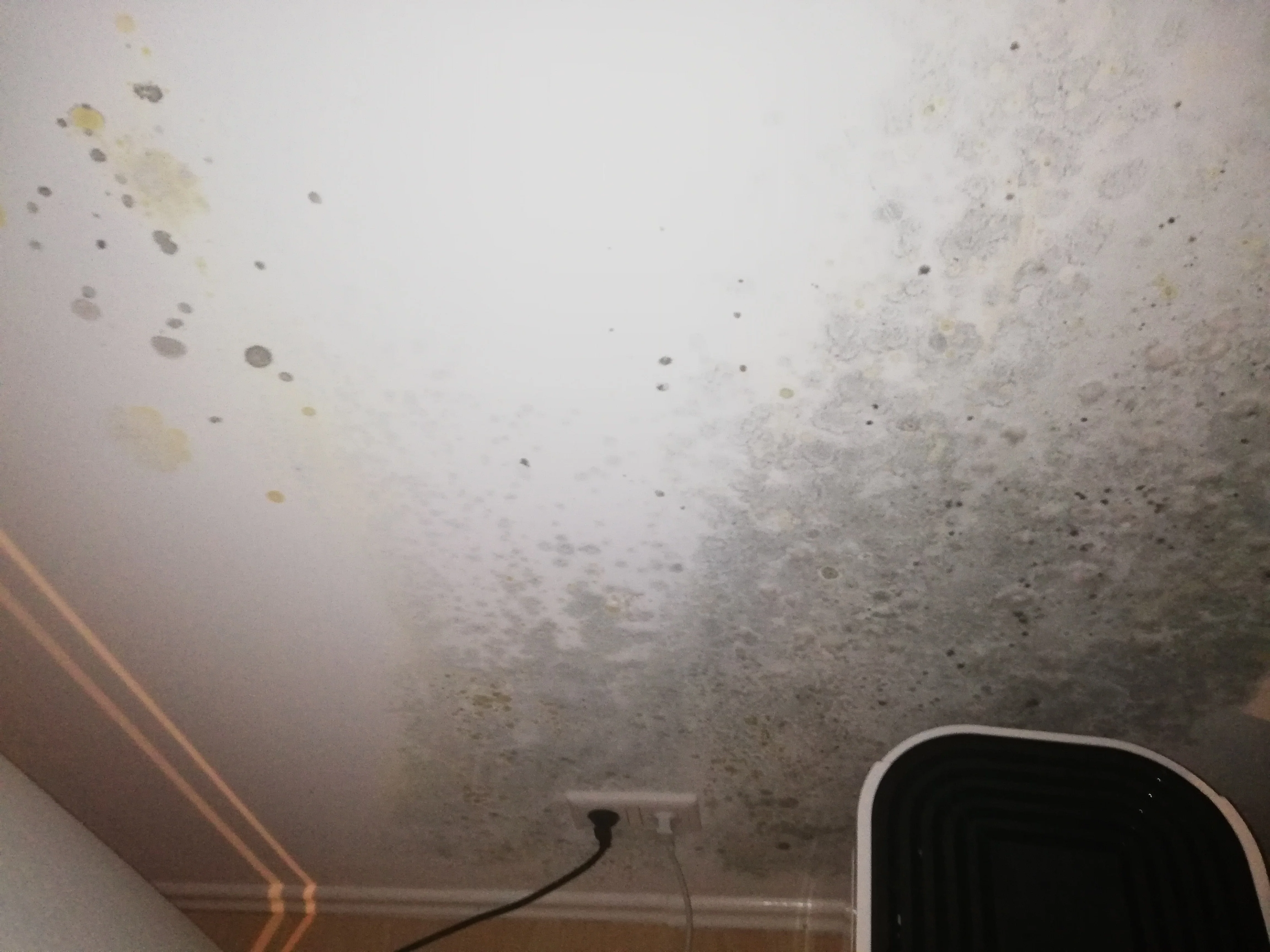 IMG_20200127_231121.webp