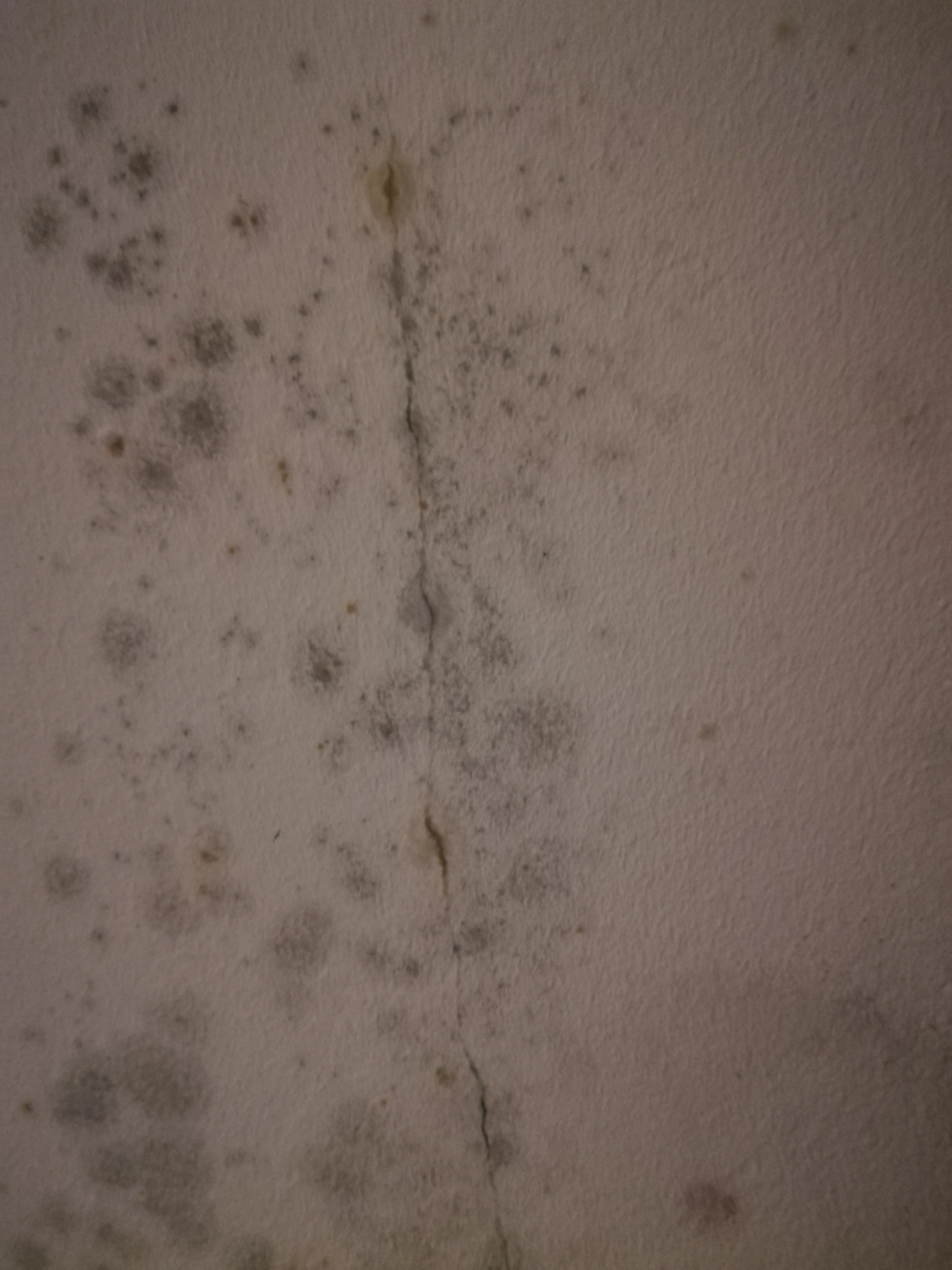 IMG_20200128_220256.webp