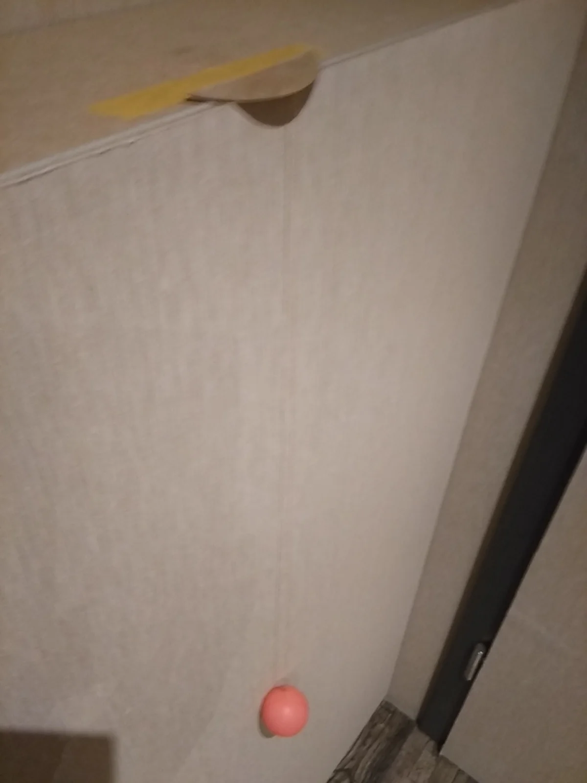 IMG_20211225_145406.jpg