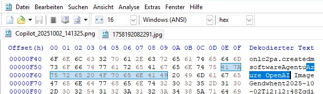 kammeLesn.webp