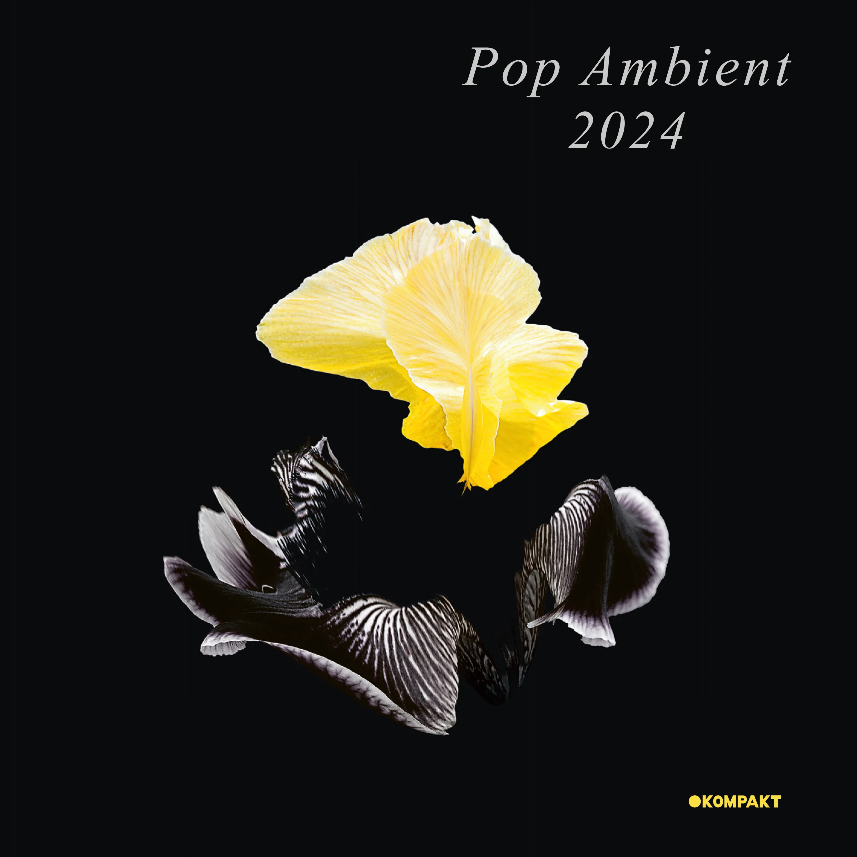kompaktcd180-pop_ambient_2024.jpg