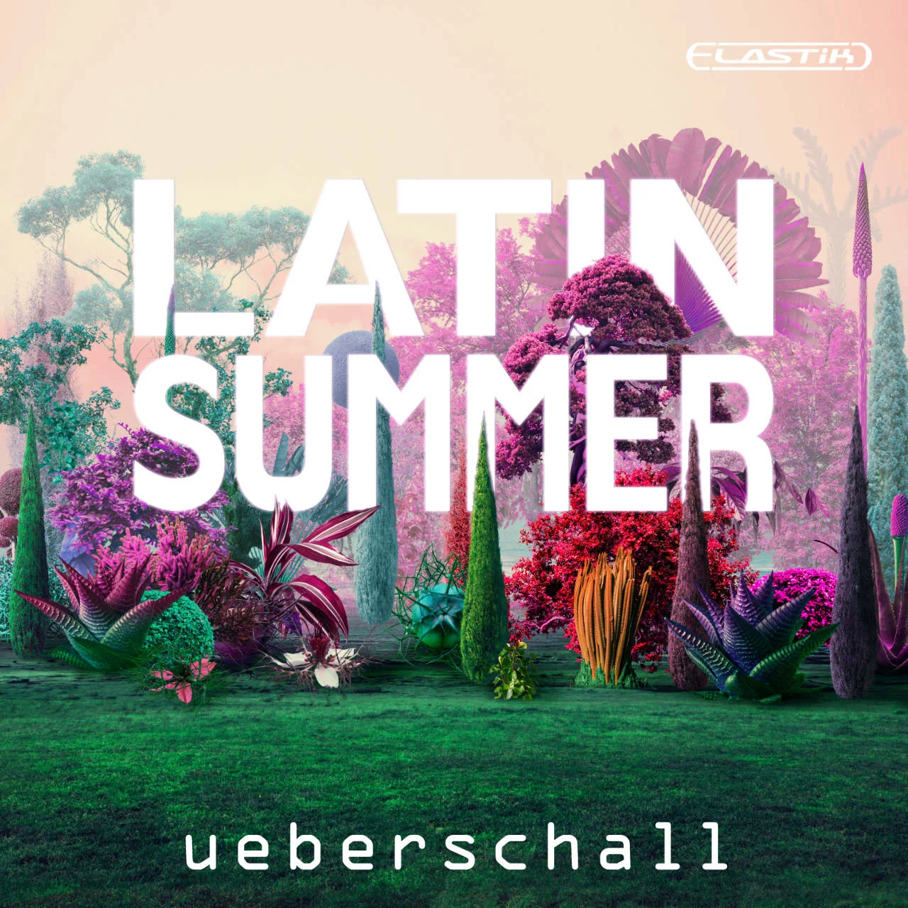 Latin Summer-ueberschall-1280x1280.webp