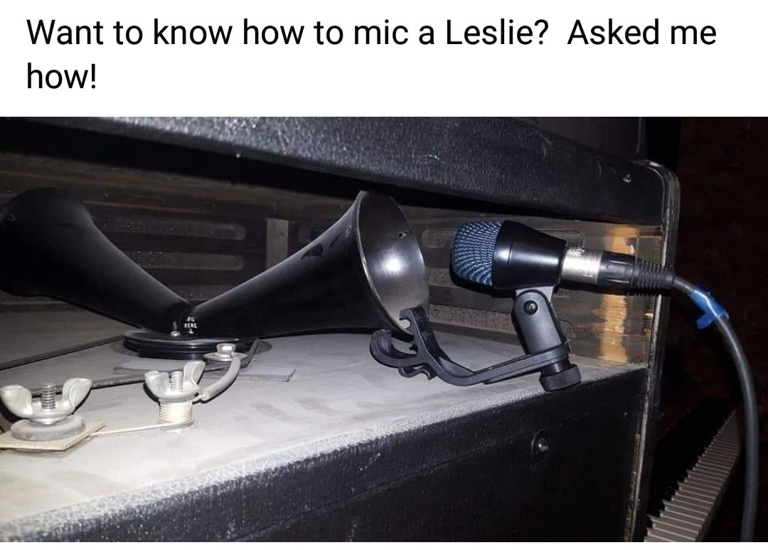 Leslie Mic.jpg