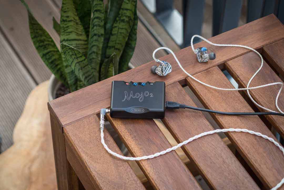 Mojo-2-snakeplant-2.jpg Mojo-2-snakeplant-2.jpg