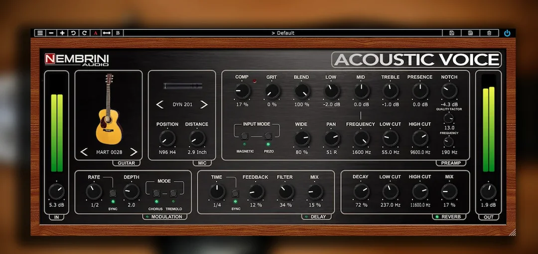 Nembrini Audio_Acoustic Voice.webp